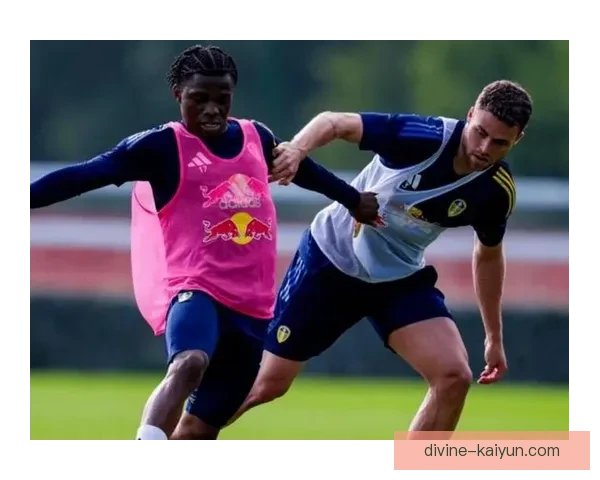 英超纽卡斯尔联队状态回暖，近期表现备受关注