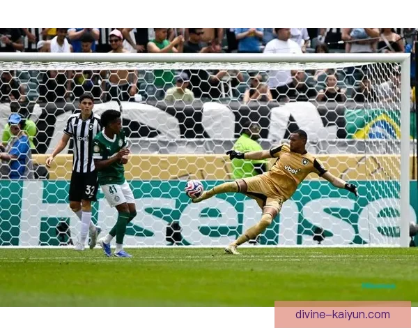 南美洲顶级联赛本赛季竞争格局与球队表现解析